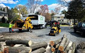 Best Lawn Maintenance Plans  in Edwardsville, PA